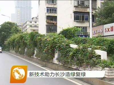 新技术助力长沙造绿复绿