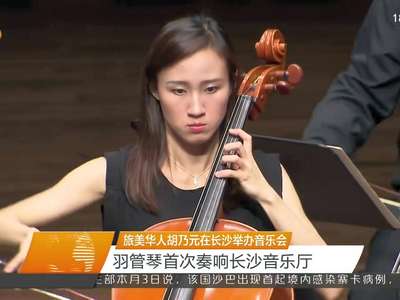 旅美华人胡乃元在长沙举办音乐会 羽管琴首次奏响音乐厅