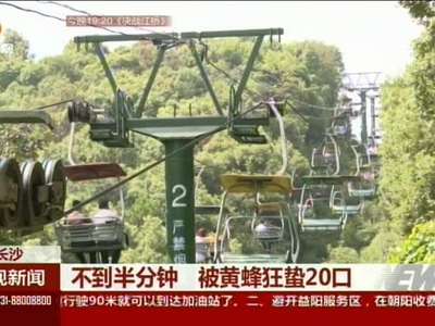 游客乱丢水瓶砸到蜂窝 群蜂来袭48人被蛰伤