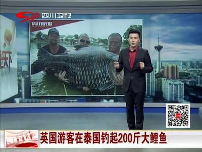 [视频]英国游客在泰国钓起200斤大鲤鱼