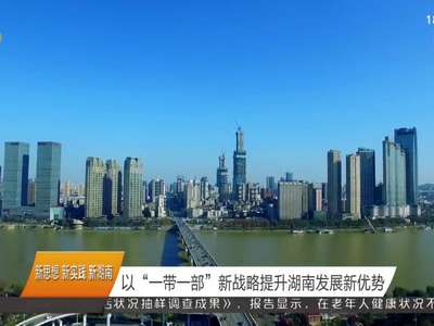 以“一带一部”新战略提升湖南发展新优势