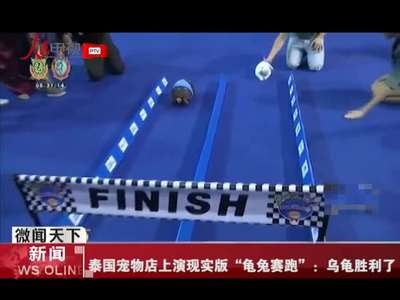 [视频]泰国宠物店上演现实版“龟兔赛跑”：乌龟胜利了