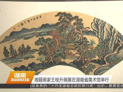 湘籍画家王桂升画展在湖南省美术馆举行
