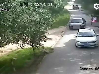 [视频]八达岭老虎伤人完整视频首度曝光