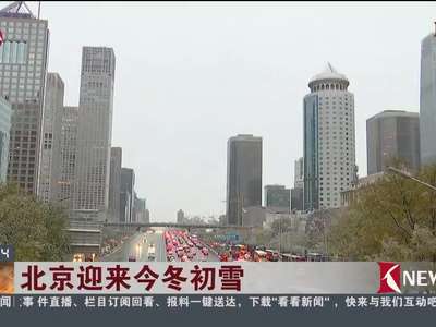 [视频]北京迎来今冬初雪