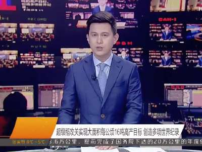 2016年11月24日湖南新闻联播