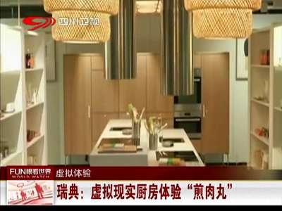 [视频]瑞典：虚拟现实厨房体验“煎肉丸”