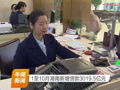 1至10月湖南新增贷款3019.5亿元