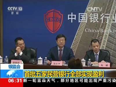 [视频]首批五家民营银行全部实现盈利