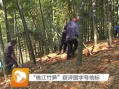 “桃江竹笋”获评国字号地标