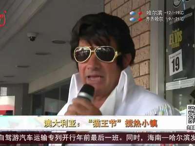 [视频]澳大利亚：“猫王节”搅热小镇