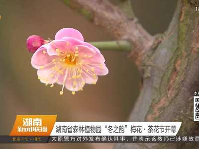 湖南省森林植物园“冬之韵”梅花·茶花节开幕