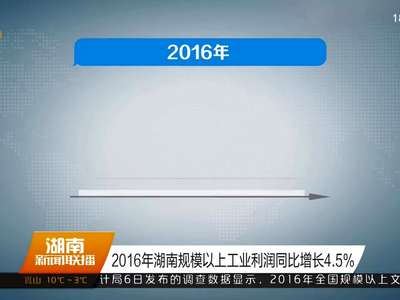 2016年湖南规模以上工业利润同比增长4.5%