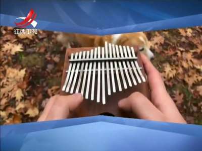 [视频]此曲只应天上有：拇指钢琴演奏动人旋律