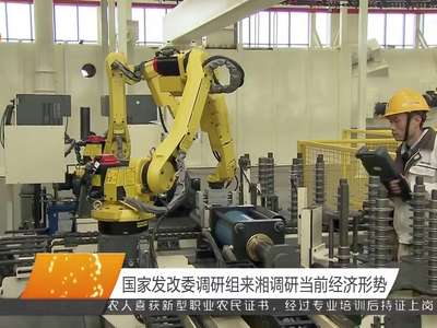 国家发改委调研组来湘调研当前经济形势