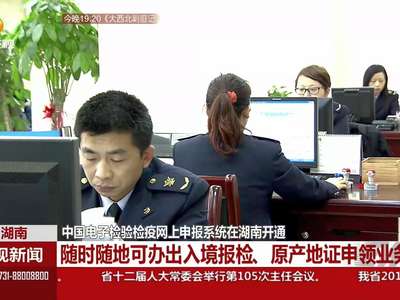 中国电子检验检疫网上申报系统在湖南开通