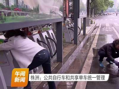 株洲：公共自行车和共享单车统一管理