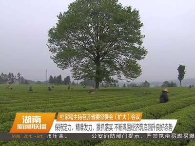 杜家毫主持召开省委常委会（扩大）会议 保持定力、精准发力、狠抓落实 不断巩固经济筑底回升良好态势