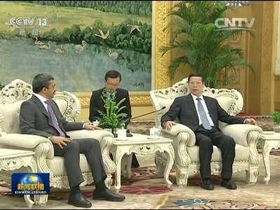 [视频]张高丽会见阿联酋客人