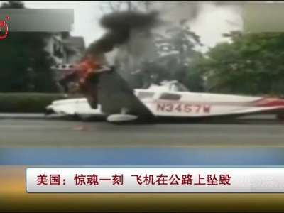 [视频]美国：惊魂一刻 飞机在公路上坠毁
