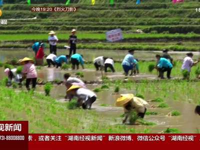 湖南各地喜迎端午节