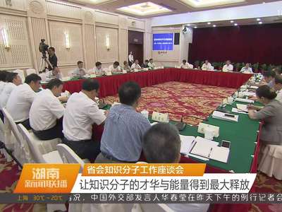 省会知识分子工作座谈会 让知识分子的才华与能量得到最大释放