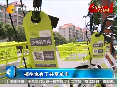 郴州也有了共享单车