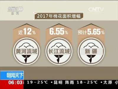 [视频]关注棉花种植面积回升：今年棉花种植面积同比增7%至10%