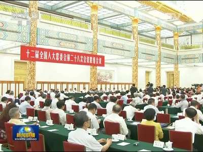 [视频]十二届全国人大常委会第二十八次会议举行联组会议