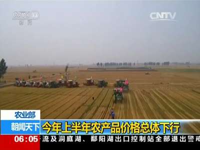 [视频]农业部：今年上半年农产品价格总体下行