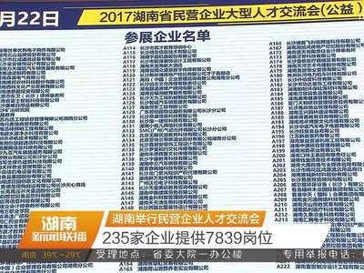 湖南举行民营企业人才交流会 235家企业提供7839岗位