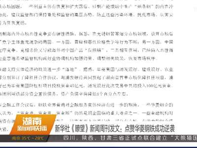 新华社《瞭望》新闻周刊发文：点赞华菱钢铁成功逆袭