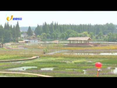 常德市首个稻田农业生态旅游主题乐园开园