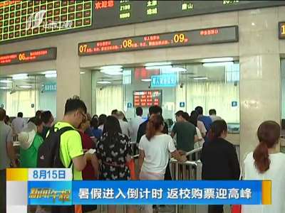 [视频]暑假进入倒计时 返校购票迎高峰