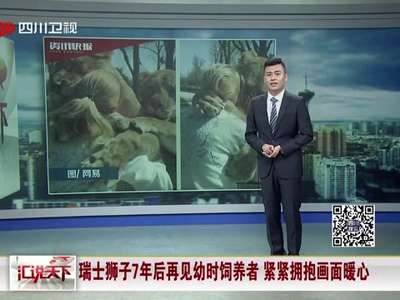[视频]瑞士狮子7年后再见幼时饲养者 紧紧拥抱画面暖心
