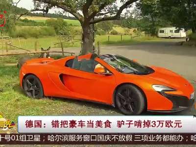[视频]错把豪车当美食 驴子啃掉3万欧元