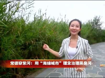 环保现场：环境治理攻坚 建设“美丽湖南”