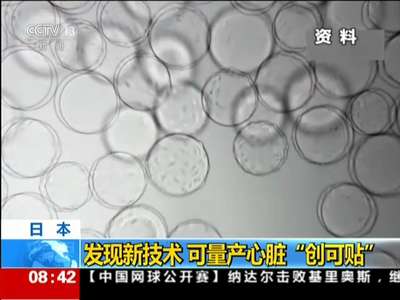 [视频]日本：发现新技术 可量产心脏“创可贴”