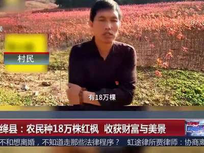 [视频]山西绛县：农民种18万株红枫 收获财富与美景