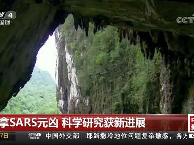 [视频]缉拿SARS元凶 科学研究获新进展