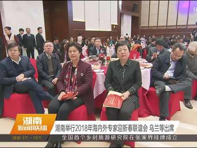 湖南举行2018年海内外专家迎新春联谊会 乌兰等出席