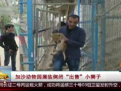 [视频]加沙动物园濒临倒闭“出售”小狮子