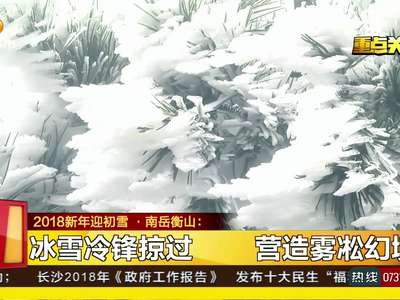 湘西北率先飘雪 漫天飘洒涂装洁白世界