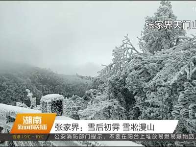 张家界：雪后初霁 雪凇漫山