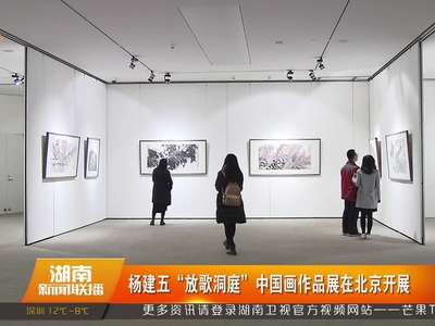 杨建五“放歌洞庭”中国画作品展在北京开展