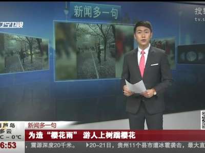 [视频]为造“樱花雨” 有人上树踹樱花