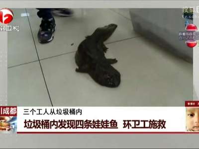 [视频]垃圾桶内发现四条娃娃鱼 环卫工施救