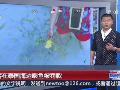 [视频]中国游客在泰国海边喂鱼被捕 被罚184元