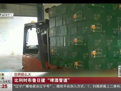 [视频]世界那么大 比利时布鲁日建“啤酒管道”