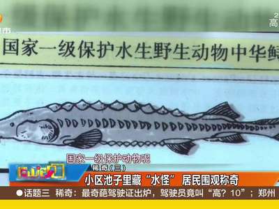 [视频]小区池子里藏“水怪” 居民围观称奇